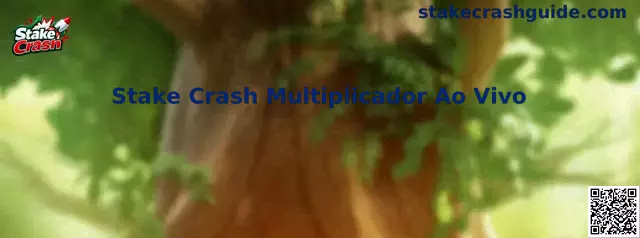 Guía visual del multiplicador en vivo de Stake Crash