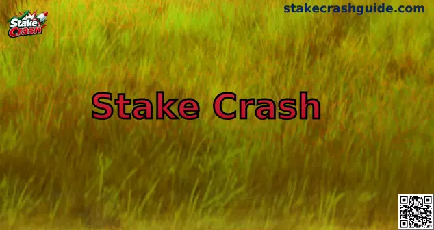 Stake Crash México Guía Oficial